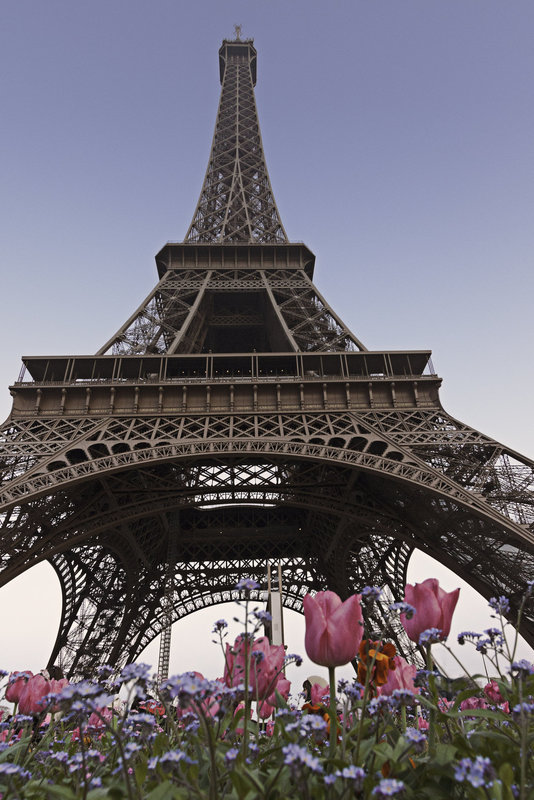 tower flower