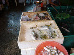 Marché de poissons à Tai O