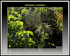 Agréable journée.!