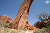 Rainbow Bridge National Monument (4866)