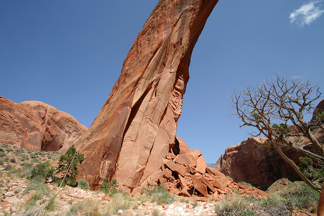 Rainbow Bridge National Monument (4866)