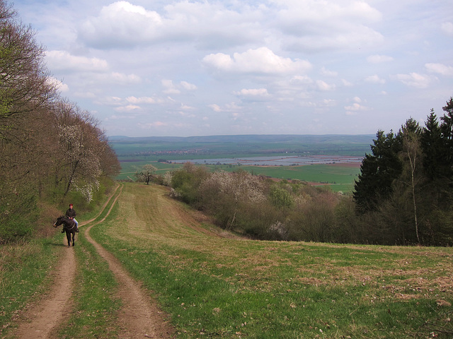 Blick auf die goldene Aue