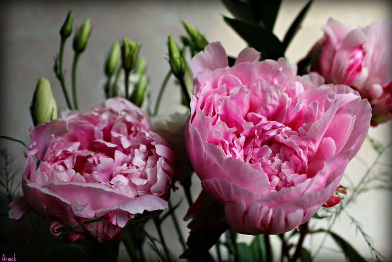 FROUFROU ****