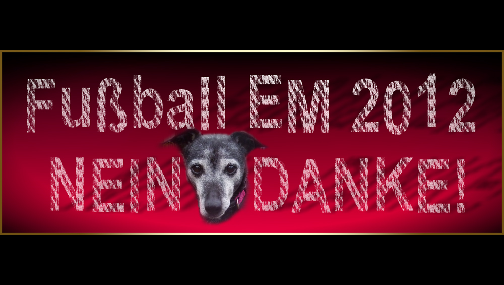 EM 2012