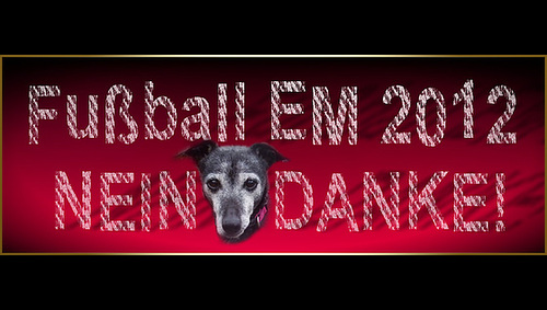 EM 2012