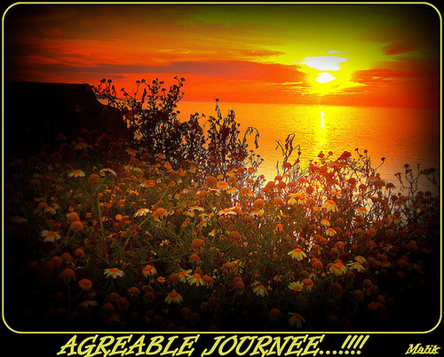 Agreable journee.!