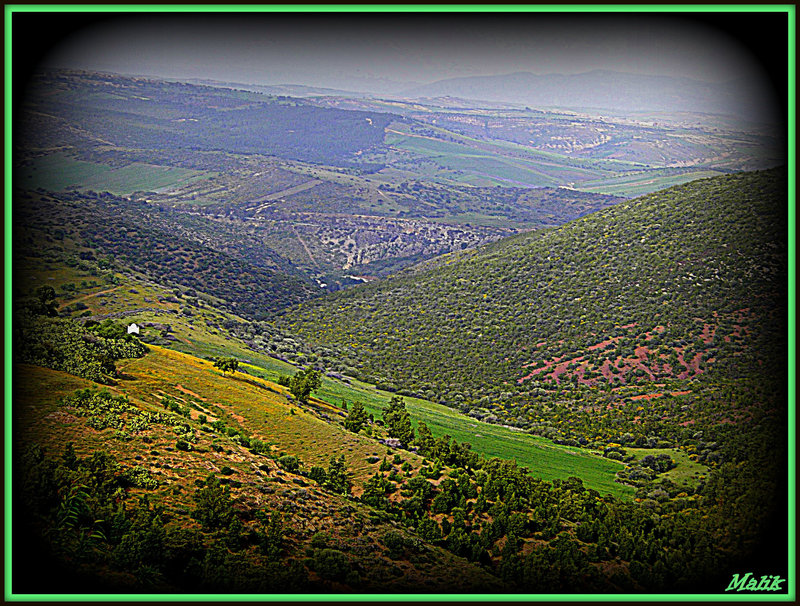 les monts de Zaouia
