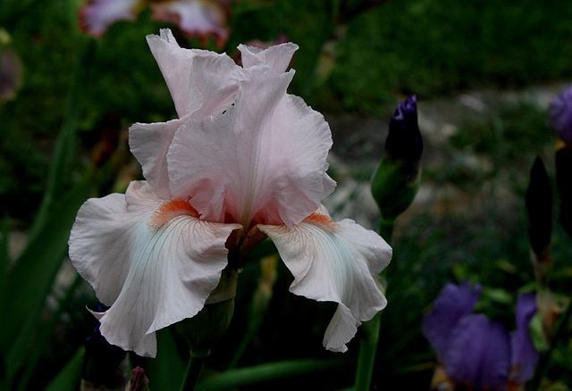 Iris Vanity (6)