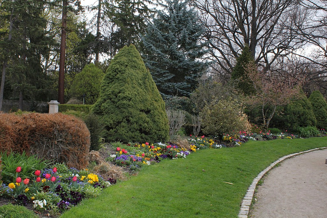 Massifs fleuris (4)
