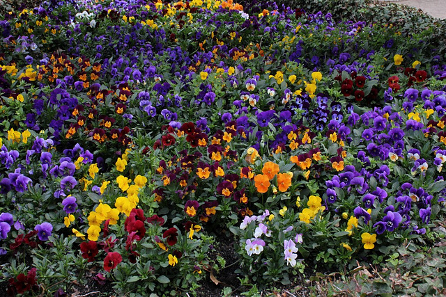 Le panier fleuri