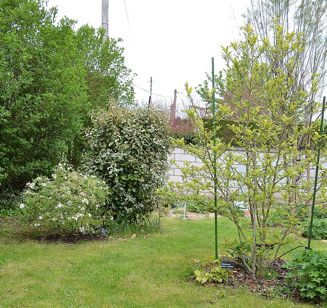 DSC 0701
