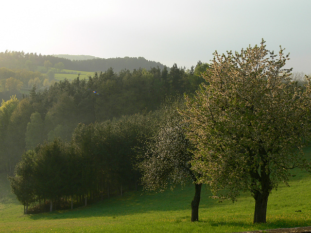 frühlingshafte Landschaft