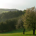 frühlingshafte Landschaft