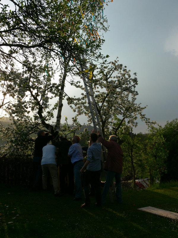 Maibaumaufstellen 2012