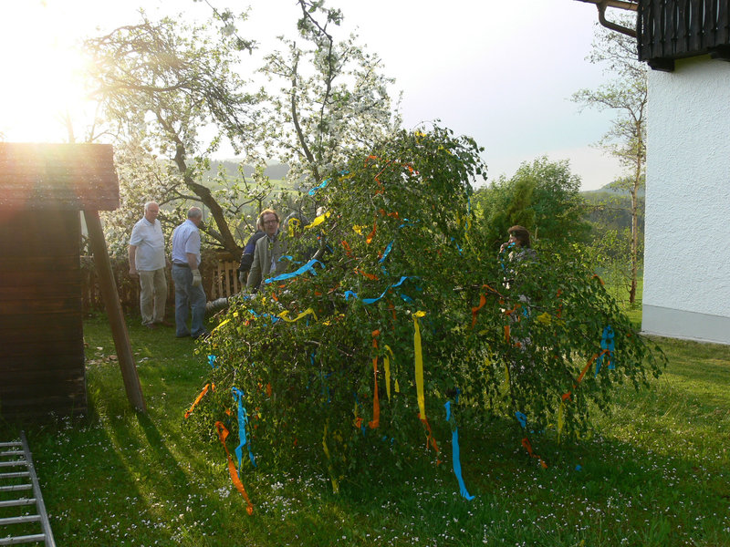 Maibaumaufstellen 2012