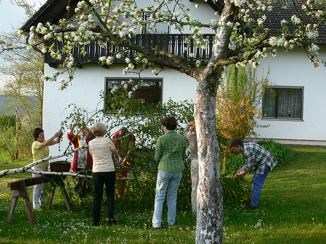 Maibaumaufstellen 2012