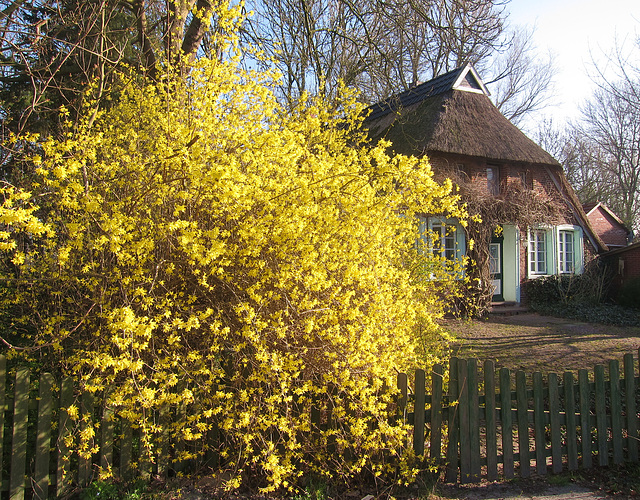 erste Frühlingstage in Nordenham