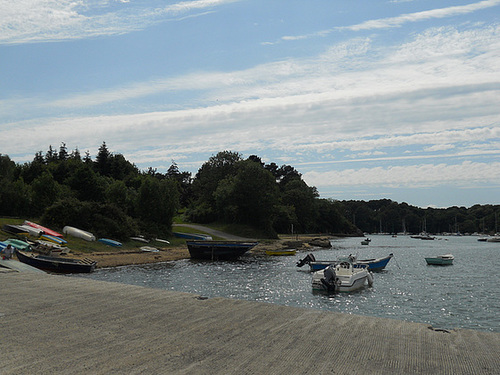 séné dans le golfe du morbihan