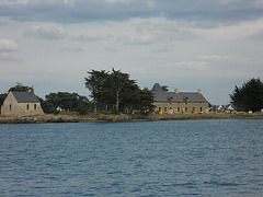 ile dans le golfe morbihan