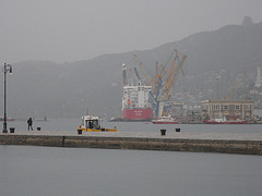 Docks de Trieste.