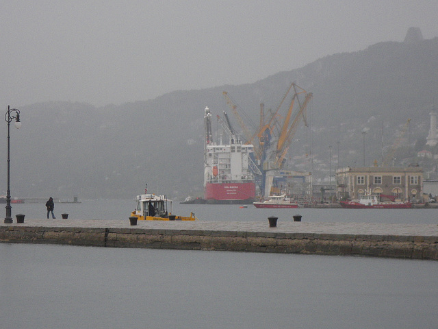 Docks de Trieste.