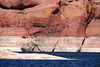 Lake Powell (4711)