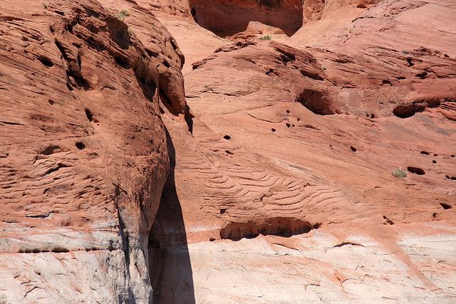 Lake Powell (4730)