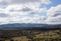 20120506 8879RAw [E] Herguijuela