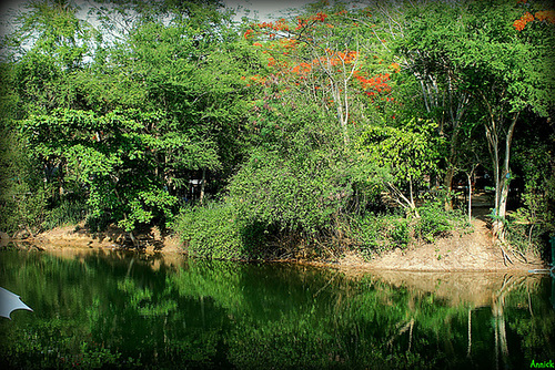 REFLETS