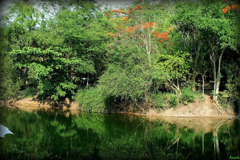 REFLETS