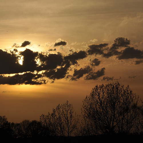 Wolkenfratze