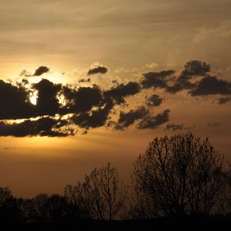 Wolkenfratze