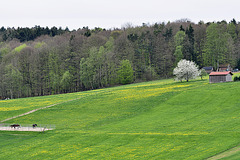 schöne Aussicht