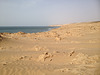 IMG 0667