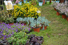 DSC 0044