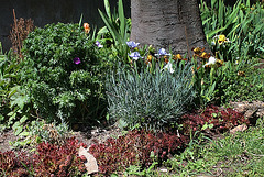 coin de jardin