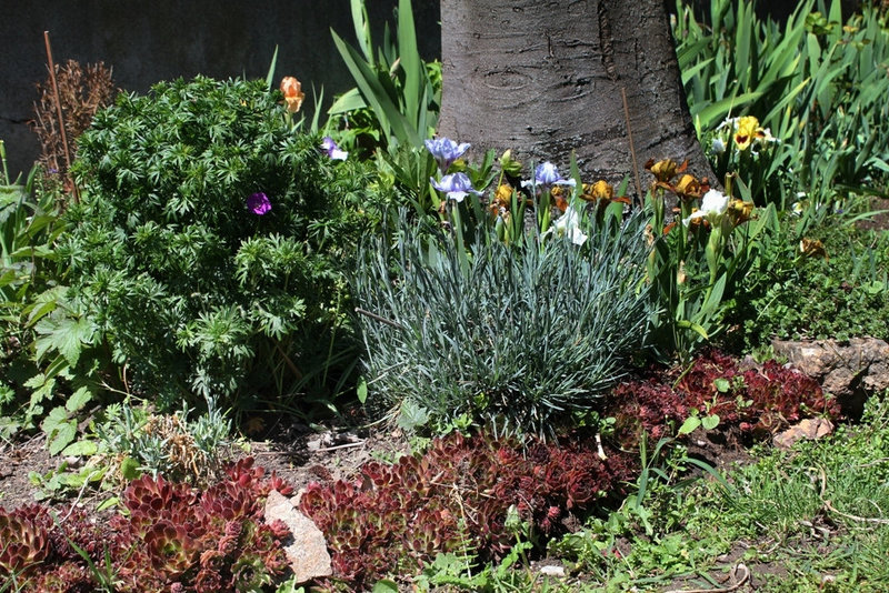 coin de jardin
