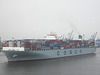 Gigant in Hamburg / Containerschiff  COSCO  FAITH