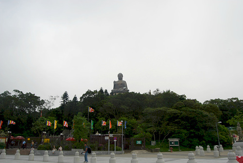Bouddha assis sur une feuille de lotus