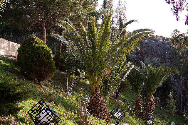 20120320 8281RAw [TR] Kusadasi, Hotel Alkoclar
