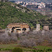 20120320 8220RAw [TR] Selcuk, Ephesos