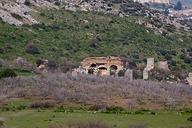 20120320 8217RAw [TR] Selcuk, Ephesos