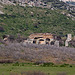 20120320 8217RAw [TR] Selcuk, Ephesos