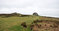 Dartmoor - 120331