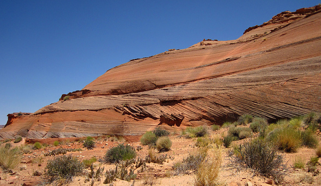 Hike To Tower Butte (2593)