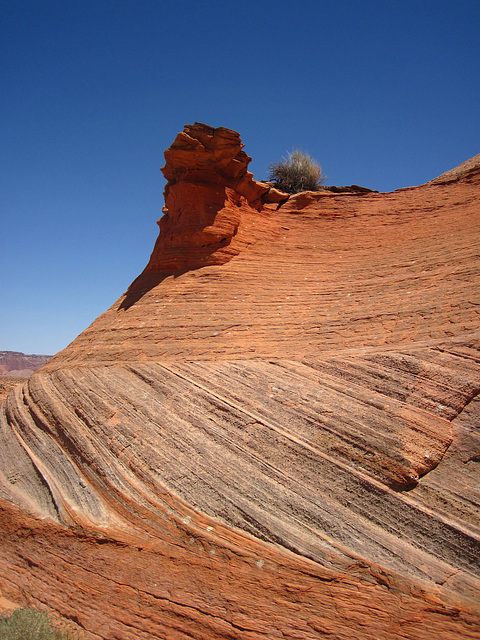 Hike To Tower Butte (2595)