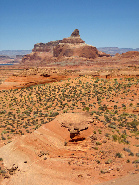 Hike To Tower Butte (2599)