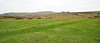 Dartmoor - 120331
