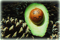 MON AVOCAT !!