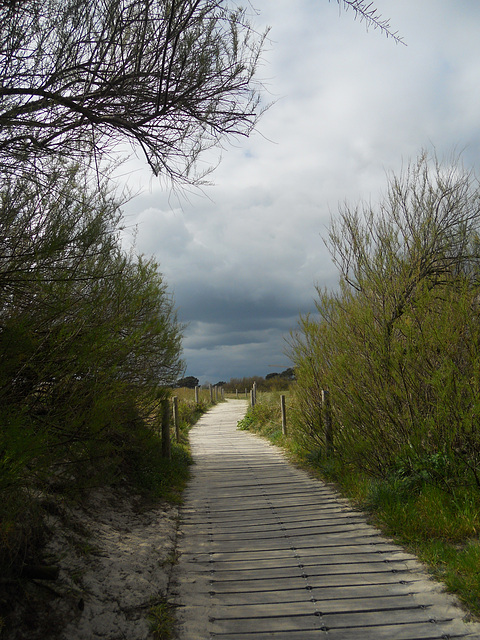 chemin des douaniers,